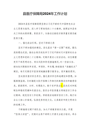 县医疗保障局2024年工作计划.docx