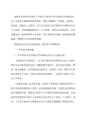 办公室主任主题教育专题民主生活会个人对照检查发言提纲.docx