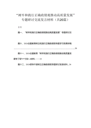“树牢和践行正确政绩观推动高质量发展”专题研讨交流发言材料（共20篇）汇编.docx