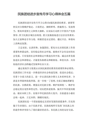 民族团结进步宣传月学习心得体会五篇.docx