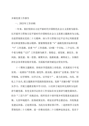 乡镇党委工作报告.docx