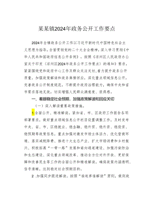 某某镇2024年政务公开工作要点.docx