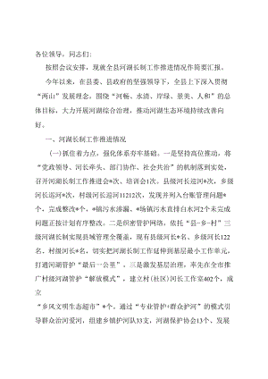 河湖长制工作推进落实情况汇报.docx