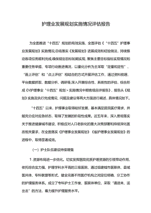 护理业发展规划实施情况评估报告.docx