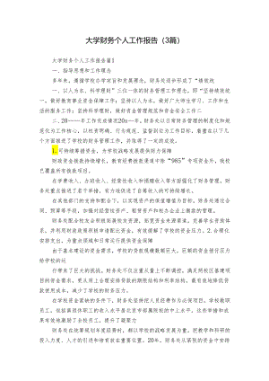 大学财务个人工作报告（3篇）.docx