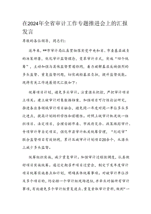 在2024年全省审计工作专题推进会上的汇报发言.docx