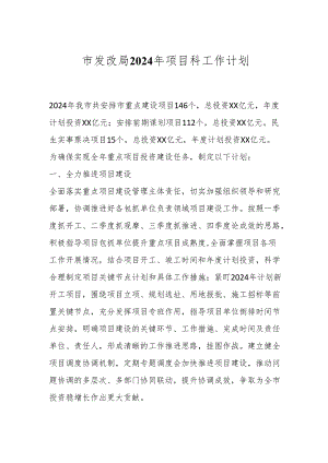 市发改局2024年项目科工作计划.docx