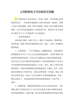 公司财务处工作总结范文四篇.docx
