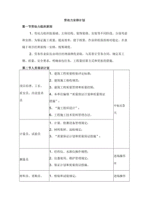 劳动力安排计划.docx