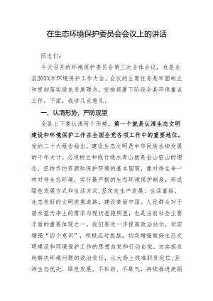 在生态环境保护委员会会议上的讲话稿.docx