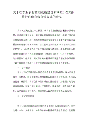 关于在农业农村基础设施建设领域微小型项目推行自建自营自管方式的意见.docx