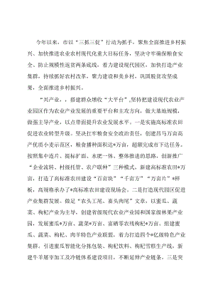 某市乡村振兴典型经验材料.docx