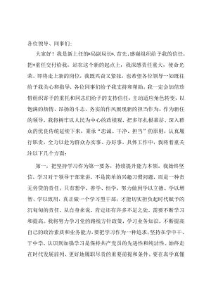 在新任领导干部座谈会上的表态发言提纲.docx