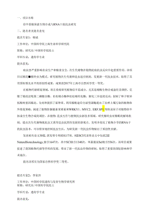 项目名称.docx