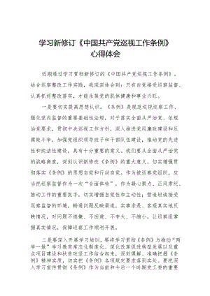 学习2024年新修订中国共产党巡视工作条例的心得体会十九篇.docx
