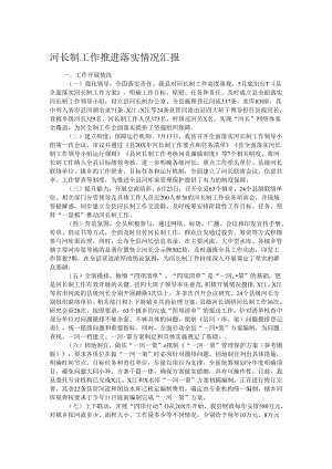河长制工作推进落实情况汇报.docx