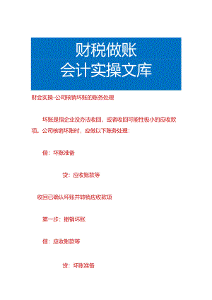 财会实操-公司核销坏账的账务处理.docx
