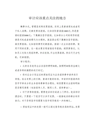 审计应该重点关注的地方.docx