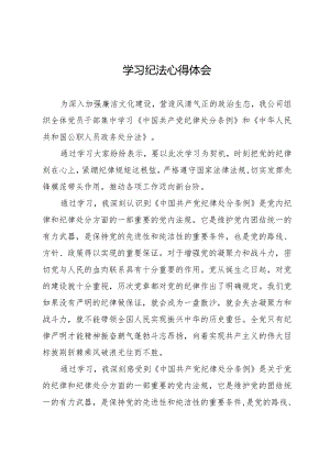 学习纪法心得体会4.docx