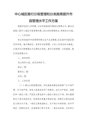 中心城区推行分级管理和分类施策提升市容管理水平工作方案.docx