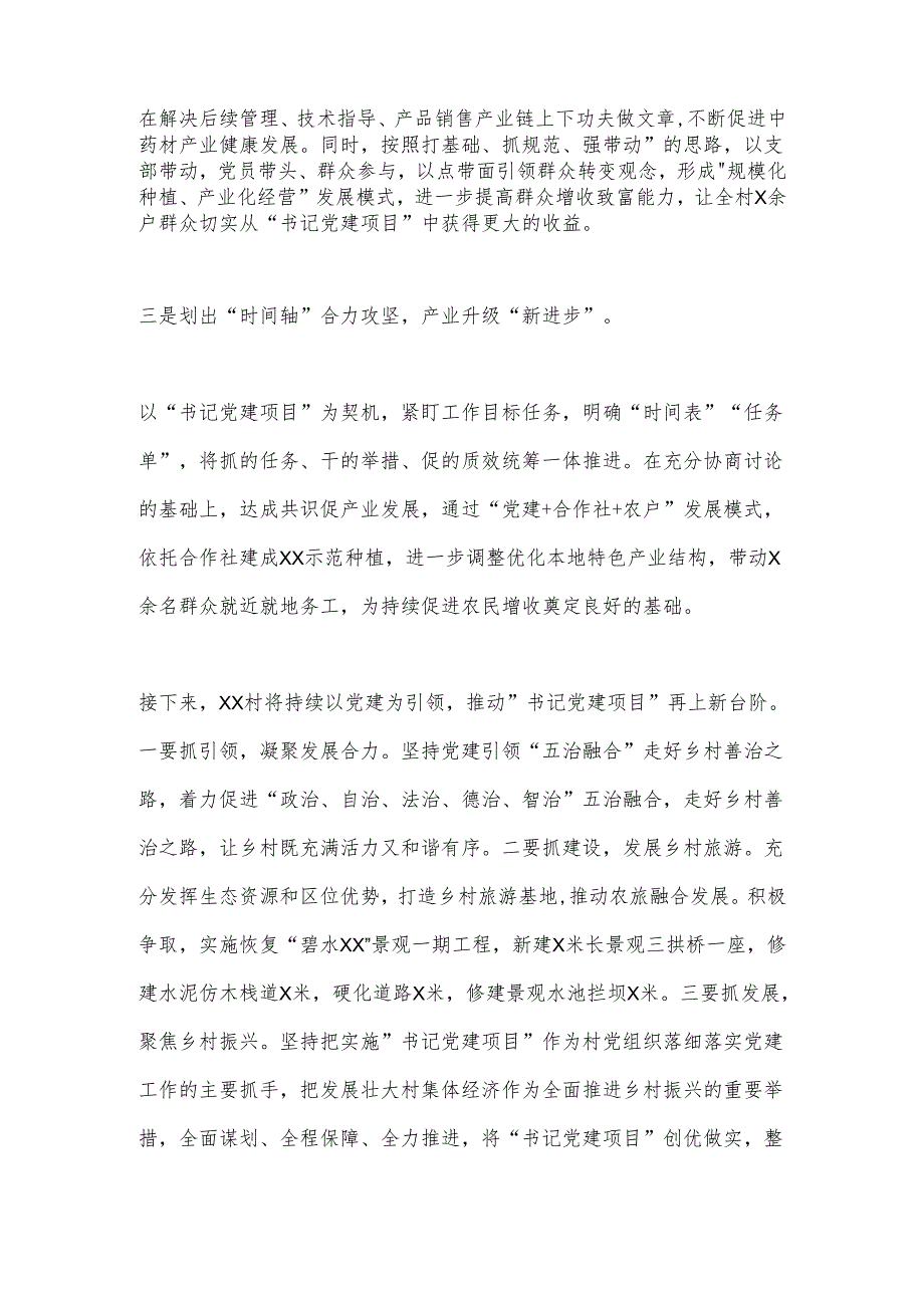2024年村开展“书记党建项目”情况汇报.docx_第2页