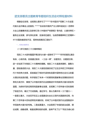 团支部委员主题教育专题组织生活会对照检查材料.docx