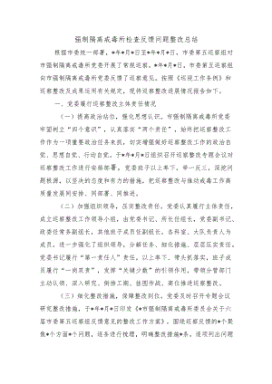 强制隔离戒毒所检查反馈问题整改总结.docx
