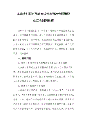 实施乡村振兴战略专项巡察整改专题组织生活会对照检查.docx
