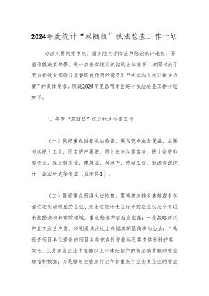 2024年度统计“双随机”执法检查工作计划.docx