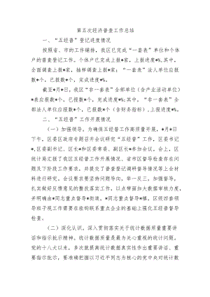 第五次经济普查工作总结.docx