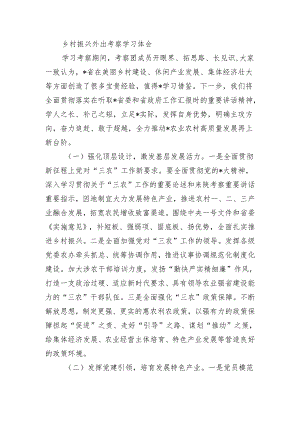 乡村振兴外出考察学习体会.docx