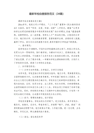 最新年检自查报告范文（34篇）.docx