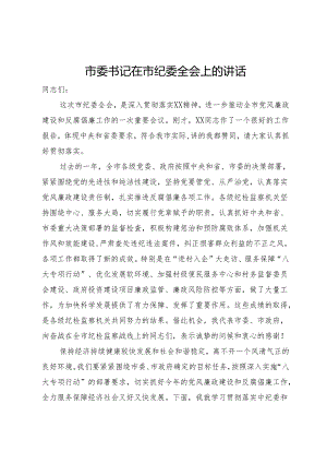 市委书记在市纪委全会上的讲话.docx
