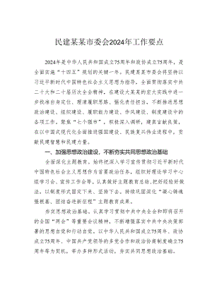 民建某某市委会2024年工作要点.docx