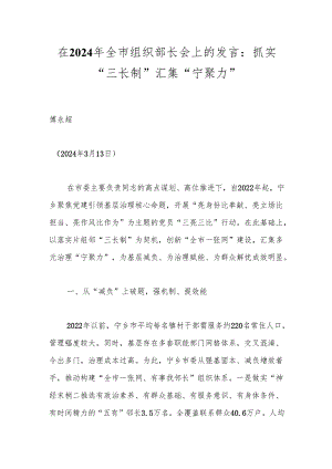 在2024年全市组织部长会上的发言：抓实“三长制”汇集“宁聚力”.docx
