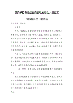 县委书记在迎接省委省政府综合大督查工作部署会议上的讲话.docx
