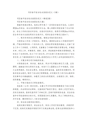 项目春节前自检自查报告范文（3篇）.docx