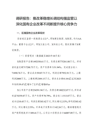 调研报告：推改革、稳增长、调结构、强监管以深化国有企业改革不断提升核心竞争力.docx