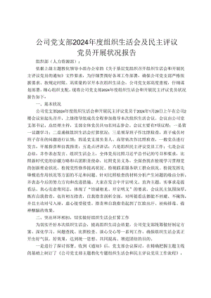 公司党支部2024年度组织生活会及民主评议党员开展情况报告.docx