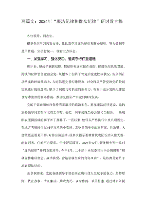 两篇文：2024年“廉洁纪律和群众纪律”研讨发言稿.docx