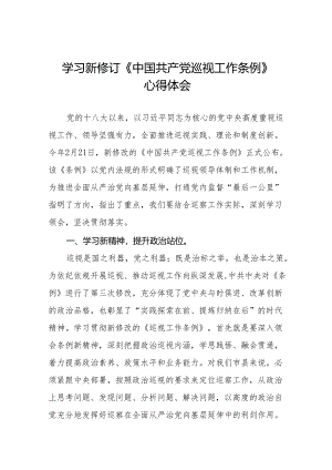 七篇巡察干部学习2024新修订中国共产党巡视工作条例心得体会.docx