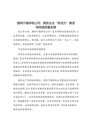 国网宁德供电公司：激发企业“新活力”推动电网高质量发展.docx
