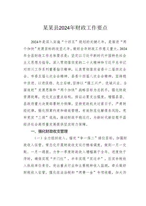 某某县2024年财政工作要点.docx