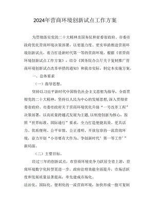 2024年营商环境创新试点工作方案.docx