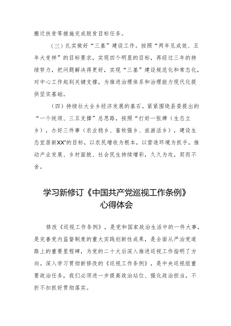 镇长书记学习2024新修订《中国共产党巡视工作条例》心得体会四篇.docx_第3页