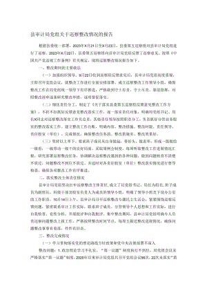 县审计局党组关于巡察整改情况的报告.docx