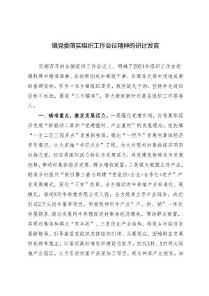 3篇2024年镇党委落实组织工作会议精神的研讨发言.docx
