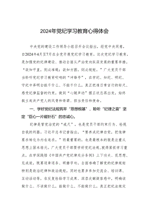 2024年党纪学习教育研讨交流发言十四篇.docx