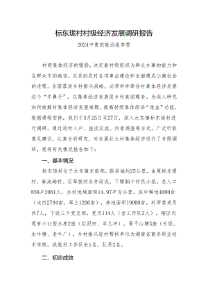 村集体经济发展调研报告.docx