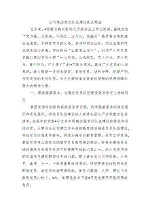 公司集团党员队伍建设亮点做法.docx